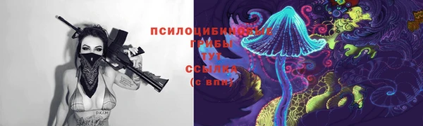марихуана Белокуриха