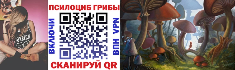 Галлюциногенные грибы Psilocybine cubensis  Шлиссельбург 